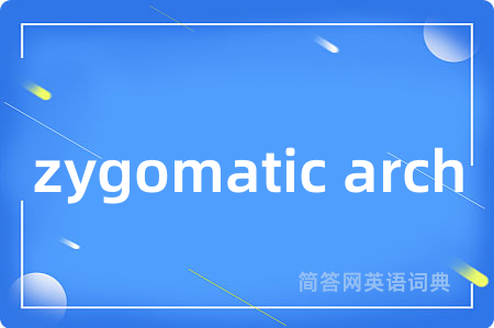 zygomatic arch