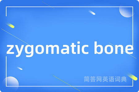zygomatic bone