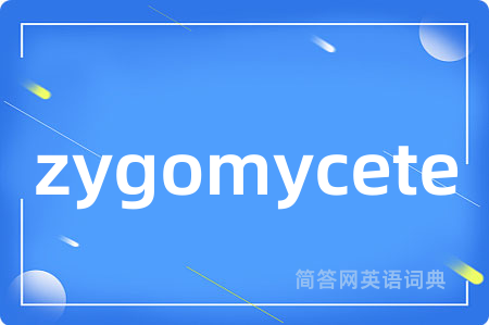 zygomycete