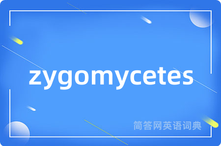 zygomycetes